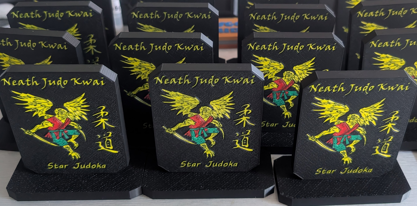 Star Judoka Neath Judo Kwai